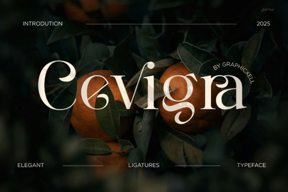 Cevigra: A Thoughtful Serif for Real-World Design