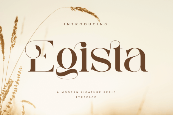 Egista Font: A Classy Typeface for Memorable Brand Content