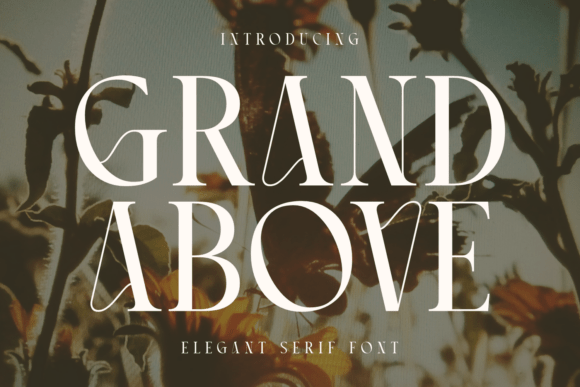 Grand Above: The Typeface That Elevates Your Campaigns