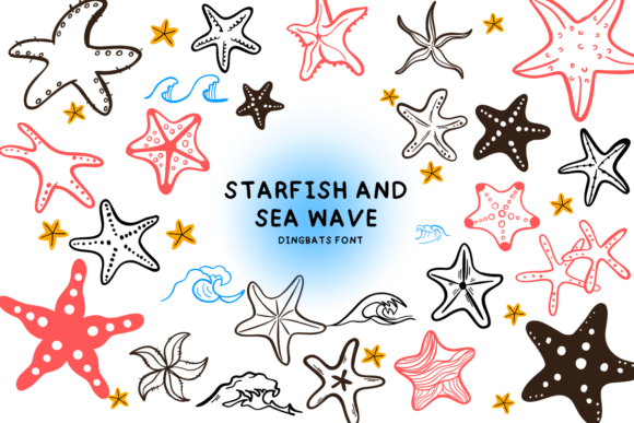 Starfish and Sea Wave Font: A Playful Touch for Your Brand